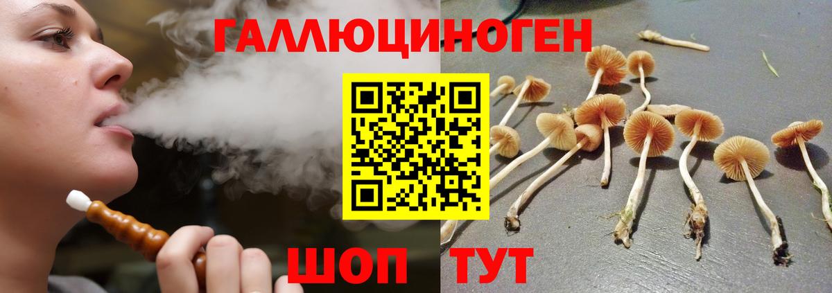 Электрогорск  Псилоцибиновые грибы MAGIC MUSHROOMS  Псилоцибиновые грибы прущие грибы  Вход с VPN 